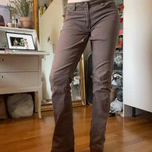 Bruna utsvängda jeans från märket Cappucchini i storlek 40. Något liten i storleken. 