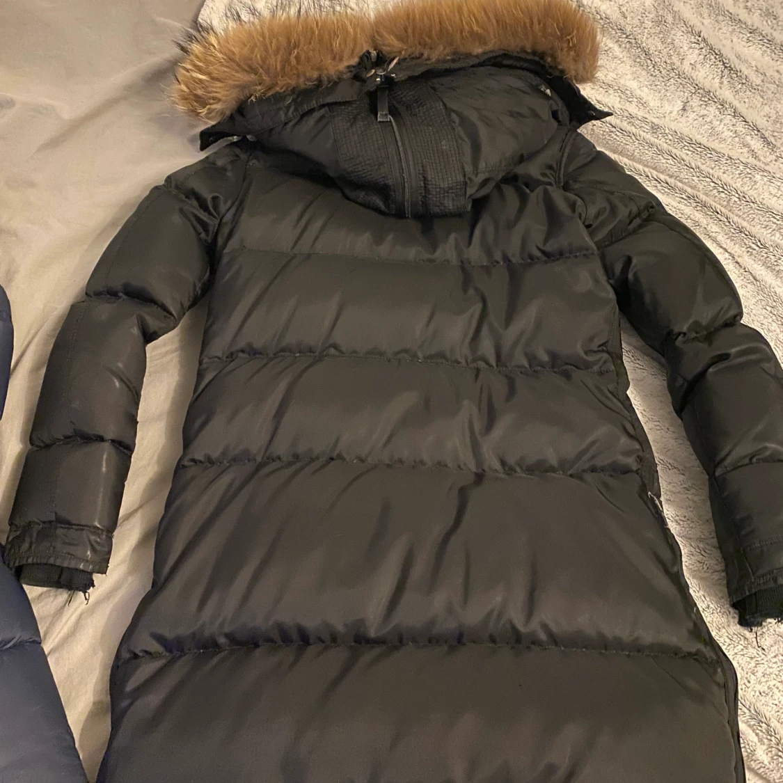 Para jumper longbear  - 90