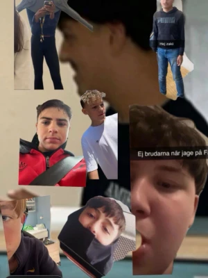 Råttor😞😟😔 - Små råttor som ingen gillar/vill ha. Snälla köp de jag kan betala er så ni tar de:(