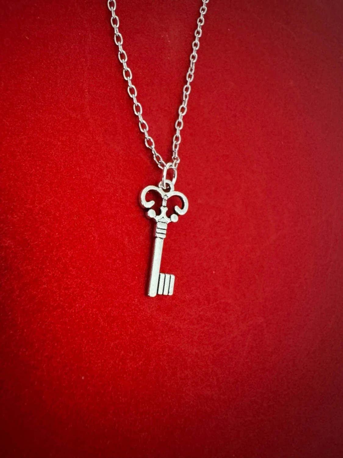 Nyckel halsband  - 1