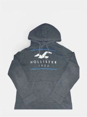 Hollister hoodie  - Fet Hollister hoodie - Storlek S - DETTA ÄR INTE DET RIKTIGA PRISET, skriv för mer info om pris osv. Mer info skriv till mig