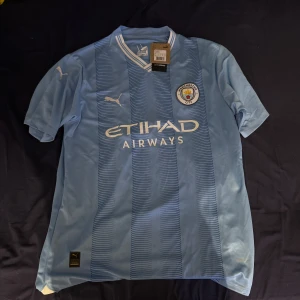 Manchester City blå matchtröja Puma - Manchester Citys officiella matchtröja från Puma i ljusblått med vita detaljer. Tröjan har korta ärmar, V-ringad krage med ränder och klubbmärke på bröstet. Materialet är lätt och andas, perfekt för fotboll. Snygga subtila ränder på framsidan och Etihad Airways-logga.