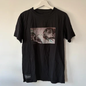 Svart t-shirt Masterpiece Revolution - Svart t-shirt från Revolution med tryck framtill som föreställer ett konstverk och texten 'MASTERPIECE'. Klassisk passform med rund hals och korta ärmar. Tillverkad i 100% bomull, perfekt för en stilren och cool look.