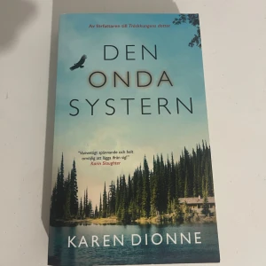 Den onda systern - En spännande bok med mystisk stämning, perfekt för dig som gillar nervkittlande berättelser. Omslaget visar en sjö omgiven av tät skog och en ensam stuga, vilket ger en känsla av äventyr och hemligheter. Rekommenderas för unga vuxna som vill ha något riktigt fängslande!