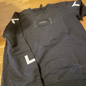 Mörkgrå sweatshirt från East Host XXL - Säljer en mörkgrå sweatshirt från East Host i storlek XXL. Tröjan har vita grafiska detaljer på ärmarna och ett broderat MONSTE-tryck på bröstet. Klassisk rund halsringning och mjukt material som känns skönt mot huden.