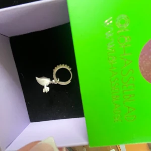 Silverörhänge med fågel från L8 Hasselblad - Unikt örhänge i silver från L8 Hasselblad med en söt liten fågel som hänge. Ringen har en cool taggig detalj längs kanten som ger extra edge. Perfekt för dig som vill sticka ut med ett personligt smycke.