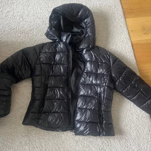 Svart pufferjacka från 157 med huva - Svart glansig pufferjacka från 157 i storlek L. Jackan har huva, två dragkedjeförsedda fickor och quiltad design. Perfekt för kyliga dagar och enkel att matcha med olika outfits.