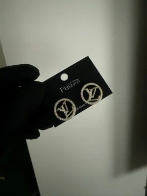 Örhängen lv - Rostfritt stål