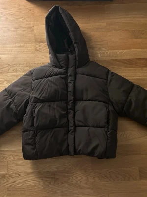 Brown Puffer Jacket - Chocolate Brown Puffer Jacket in New Conditions from h&m