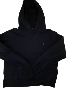 Polo Ralph lauren  - En blå tröja från Ralph lauren. Den har dock ett litet hål på armbågen men annars är den i bra skick. Priset är inte hugget i sten och kan diskuteras. 