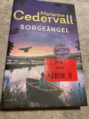 Sorgeängel - Följ vännerna Mirjam och Hervor i en spännande berättelse fylld av mystik, vänskap och äventyr i norrländsk natur. Perfekt för dig som gillar deckare med starka karaktärer och vackra miljöer. En bok som blandar spänning med värme och humor.
