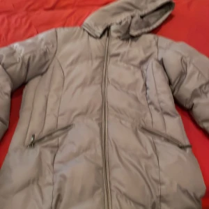 Grå pufferjacka med huva och dragkedjor - Säljer en grå pufferjacka med huva och snygga dragkedjor både framtill och på fickorna. Jackan har en clean look och är perfekt för kalla dagar. Justerbar dragsko vid huvan och praktiska fickor med dragkedja. Passar dig som gillar stilren och funktionell vinterstil.