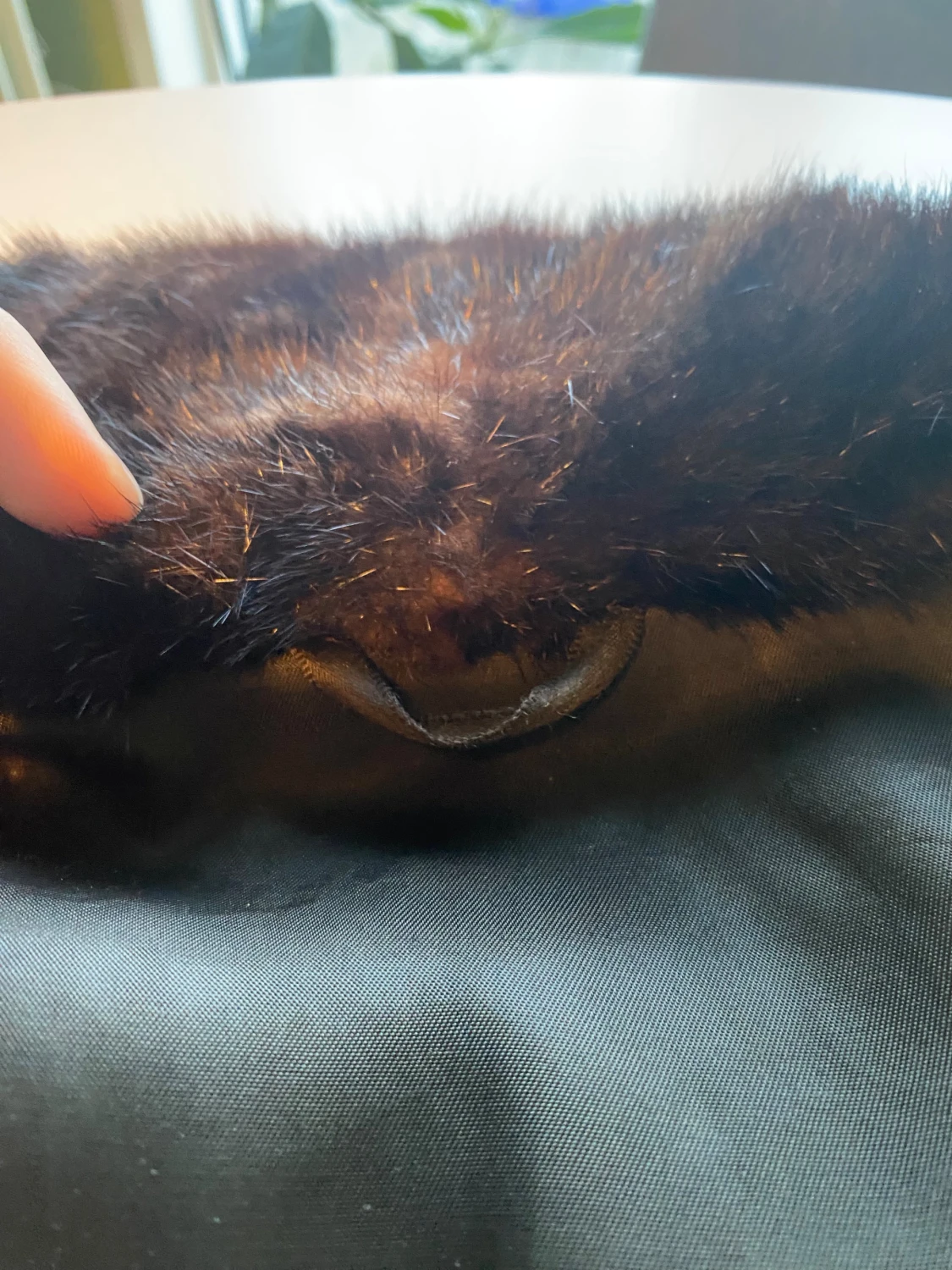 Äkta pälsjacka  - 5