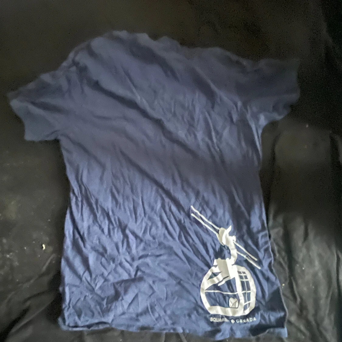 Blå Sea to Sky Gondola t-shirt Gildan - 1