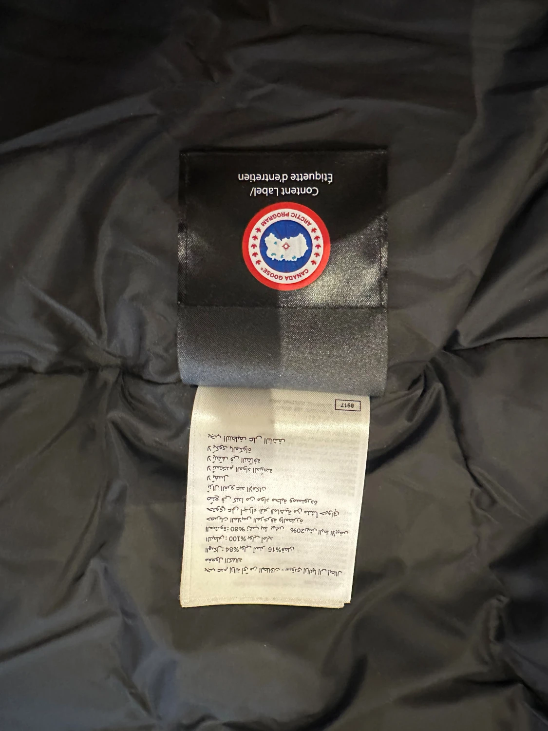 Canada Goose Trillium jacka dam - 5