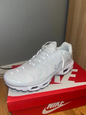 Nike TNs Vita  - Helt nya Vita Nike TNs, har bara testat dem i affären och en gång hela annars har dem aldrig använts. Bästa kvalitet du kommer hitta på den här appen, dem är in princip nya direkt från affären. Meddela för flera frågor.