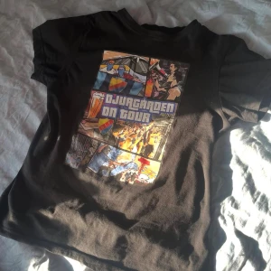 Svart Djurgården on Tour t-shirt - Svart t-shirt med färgglatt tryck på bröstet med texten 'Djurgården on Tour' och motiv från fotbollsläktare, ölglas och flaggor. Baksidan har tryck med olika klubbmärken och arenor. Klassisk passform och rund hals. Perfekt för dig som älskar Djurgården och fotboll.
