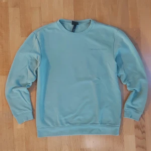 Ljusgrön sweatshirt med storlek M - Ljusgrön sweatshirt från H&M i regular fit med broderad text 'Mind over matter' på bröstet. Tröjan har rund halsringning, långa ärmar och mjuk insida. Perfekt för chill dagar eller när du vill ha en clean look.