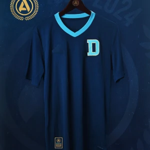 SÖKER denna i strl L, Djurgården jubileumströja - - 