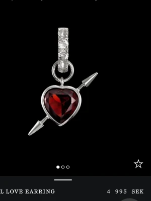 Maria Nilsdotter örhänge - Jätte fint örhänge från Maria Nilsdotter. Slutsålt på hemsidan, nypris 5000. Mitt pris: 3400😁💕