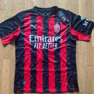 AC Milan Puma fotbollströja Leão 10 - AC Milan matchtröja från Puma med Rafa Leão och nummer 10 på ryggen. Tröjan är svart och röd med klassiska vertikala ränder, klubbmärke på bröstet och sponsortryck framtill. Tillverkad i lätt och ventilerande funktionsmaterial, perfekt för fotbollsplanen. Skriv privat för mer frågor 