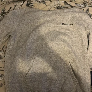 Märkes hoodies - 164/170 i alla hoodies 400 för alla annars 150 styck