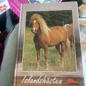 Islandshästen - Upptäck den fascinerande islandshästen! Lär dig om dess ursprung, styrka och varför den är så populär världen över. Perfekt för dig som älskar hästar och vill veta mer om denna unika ras från Island.