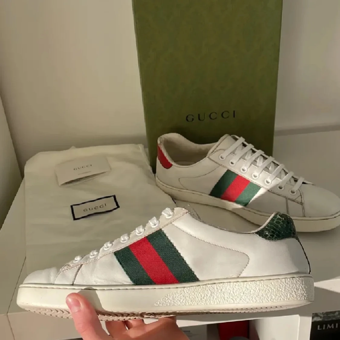 Gucci ace  - 2