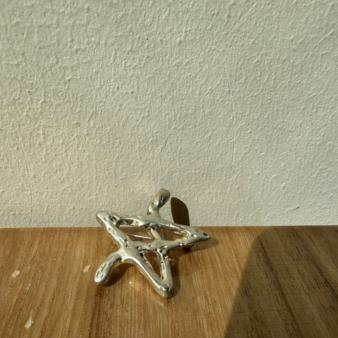 Ader Error silverfärgad brosch