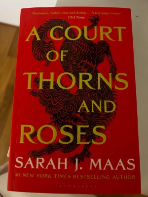 A Court Of Thorns And Roses - Engelsk pocket bok på ca 400 sidor, första boken i en serie. 👌