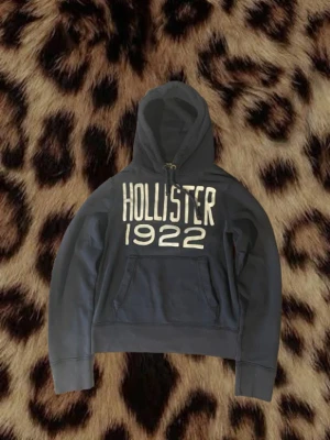 Vintage Hoodie från hollister - Asskön hoodie från hollister. Denna är väldigt eftertraktad eftersom den inte säljs längre. Storlek XS/S. Längd 61. Bredd 46