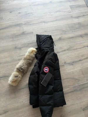 Svart dunjacka från Canada Goose - Säljer nu min canada goose wyndham jacket då jag behöver pengarna, knappt hunnit använda den då jag bara haft den i en månad. Jackan ser helt ny ut och taggar o päls medföljer självklart. Hör av er vid minsta fundering och kom ihåg att priset går att diskutera vid snabbt köp:)