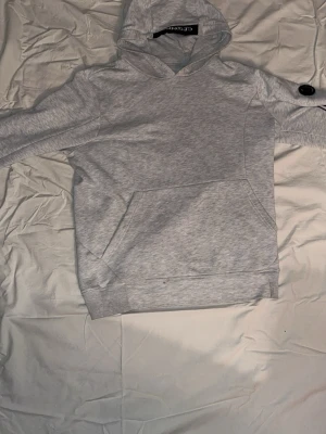 Grå hoodie från C.P. Company - Snygg ljusgrå hoodie från C.P. Company med klassisk huva och magficka. Tillverkad i mjukt bomullsmaterial och har en ikonisk detalj med lins på ärmen. Perfekt för en avslappnad och trendig stil.