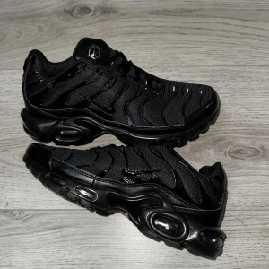 Nike Air Max Plus TN  - Helt ny endast använd en gång och passar perfekt för sommar,vår och mild vinter storleken passar för 43-45   ett till ett 