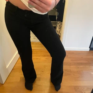 Lågmidjade kostymbyxor med bootcut - Fina lågmudjade kostymbyxor med bootcut!
