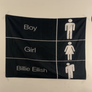 Billie Eilish affisch! - En cool Billie Eilish affisch! Bred 95cm/37 i nch och längd 73cm/28 i nch.