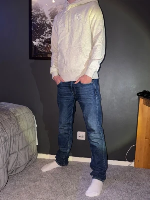 Hoddie från Grand Grish - En begie hoddie från grade grich. Inte jätte använda. Storlek XS personen på bilden är 177