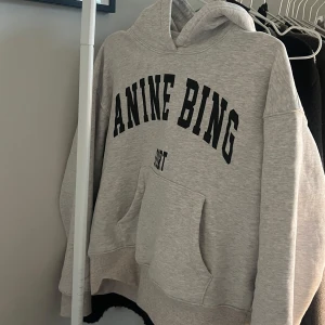 Anine Bing hoodie - Anine bing hoodie in very good condition❣️perfect for fall and winter