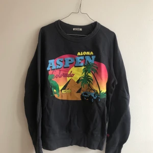 ACNE ASPEN CREWNECK - ACNE sweater from 2013? Used gently the print is very good