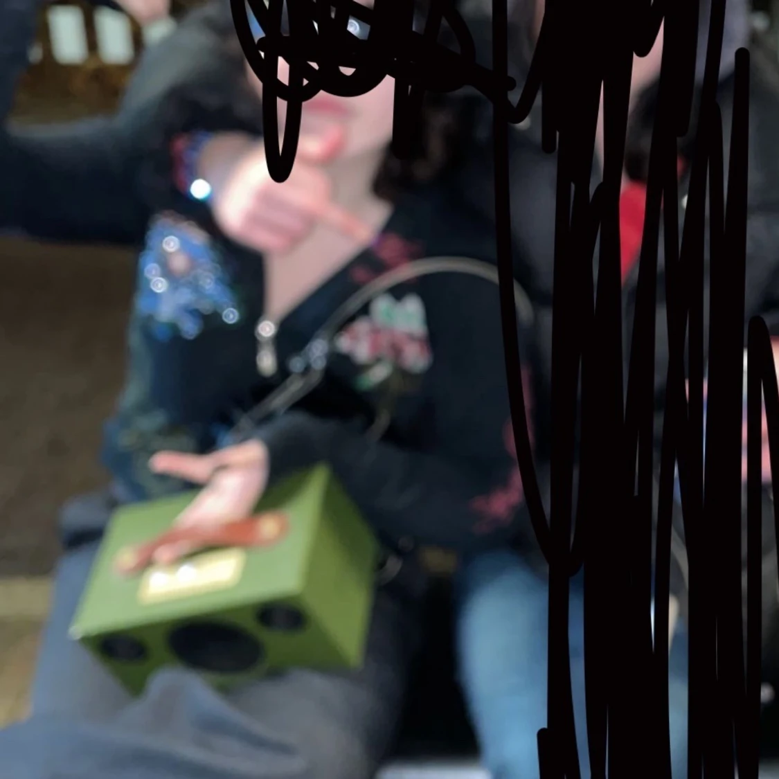 ed hardy hoodie  - 91