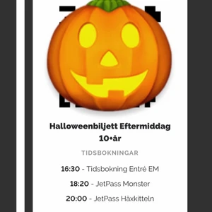 Gröna Lund biljett - Hejsan! Jag säljer nu en biljett för gröna Lund halloween vuxen (+10 år) den 3 november en eftermiddag 16,30 - 22,00. Mitt kompisgäng ska gå men en har fått förhinder och om vi ska avboka måste vi avboka alla biljetter.. Alla tider går att ändra!! Både entré tid och jetpass. Biljetten säljer vi för orginal pris 495kr. Hör av er på dm vid intresse! Vid köp får du hela biljetten med QR-kod🎃🧡🍁