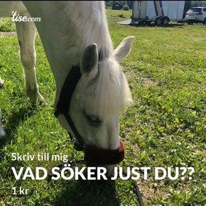 Vad söker du?? - Bara att skriva till mig så kikar jag om jag har något🌸