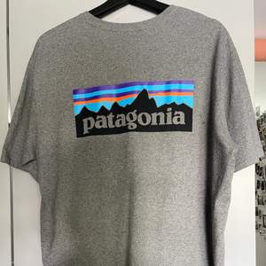 Grå Patagonia T-shirt, vanligt i storleken med tryck på ryggen. I bra skick !