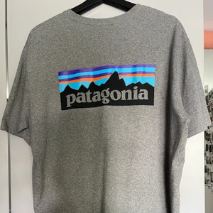 Patagonia T-shirt  - Grå Patagonia T-shirt, vanligt i storleken med tryck på ryggen. I bra skick !