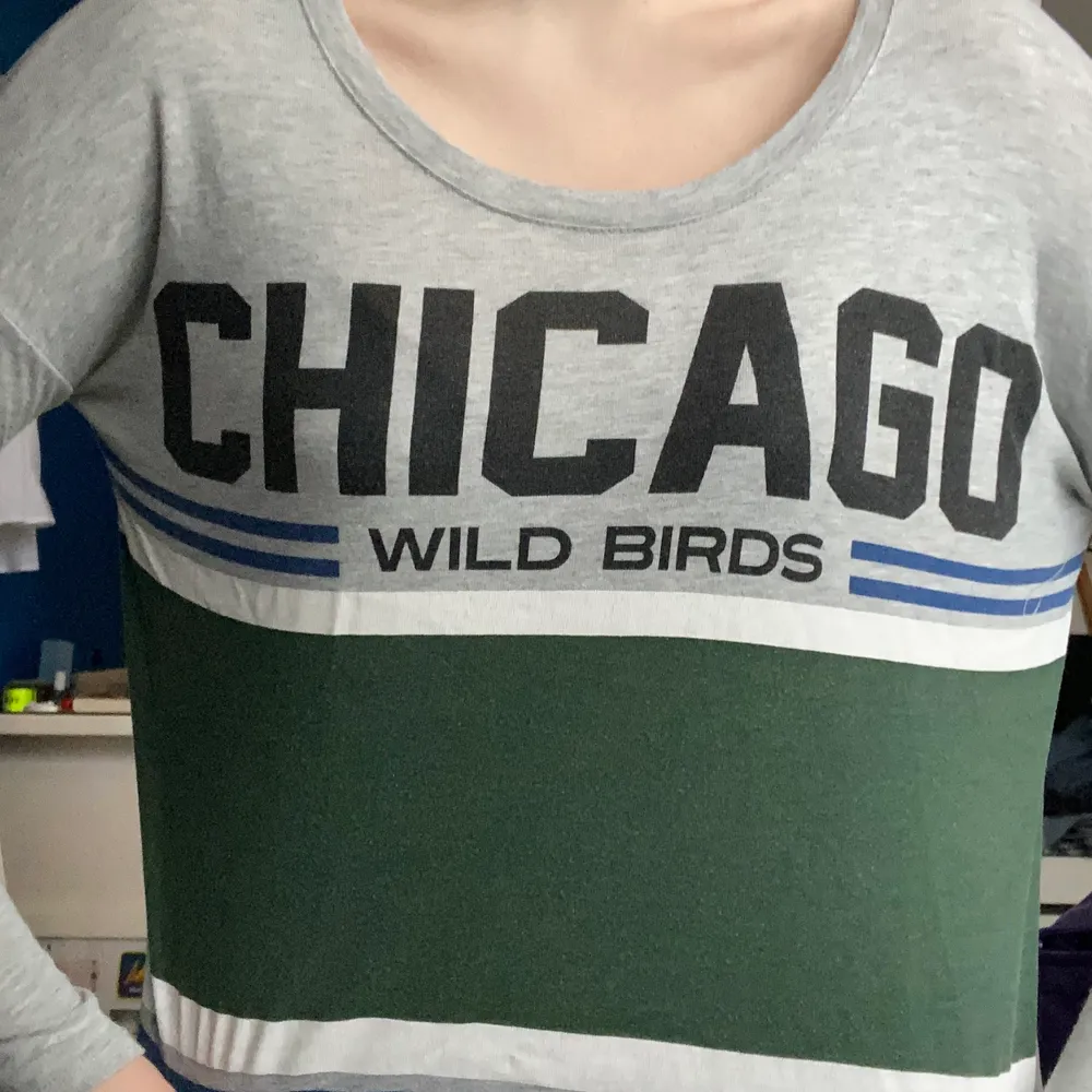 långärman chicago wild birds tröja från gina tricot. använd men i gott skick. ganska tunt material så man blir inte för varm. . Toppar.