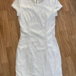 Ivyrevel paljettklänning - Fint skick, använd 1 gång. 