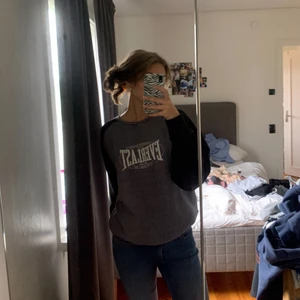Grå sweatshirt - Grå sweatshirt med snyggt vintage liknande tryck. Köpt secondhand, men från everlast. Storlek L, men skulle säga att den passar XS-L. Bra skick. Köparen står för frakt.