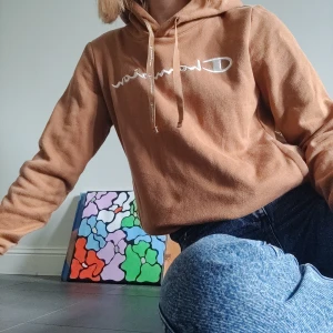 Champion tröja - En brun och fin champion tröja. Tyvärr har den blivit lite blekt i luvan (bild 2) men det är inget som syns när den sitter på. Storlek xs-s