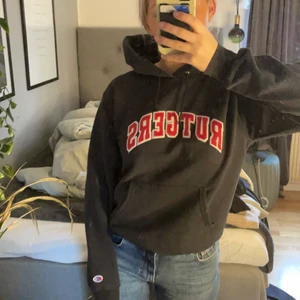 Vintage hoodie - Vintage hoodie från champion i fint skick. Köparen står för frakten🧡 buda eller köp direkt för 500kr + frakt