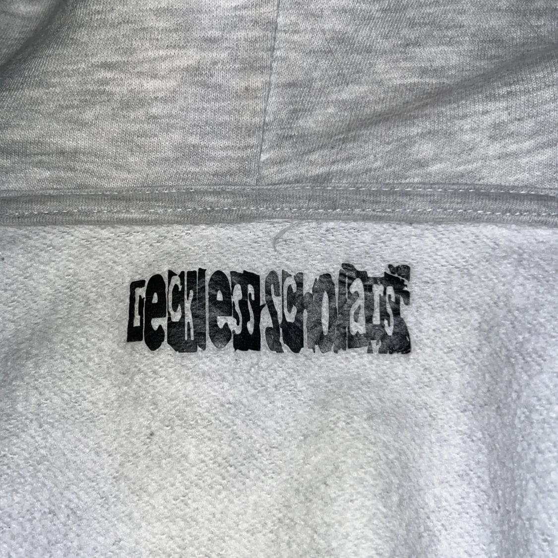 Reckless Scholars Zip hoodie strl L - 90